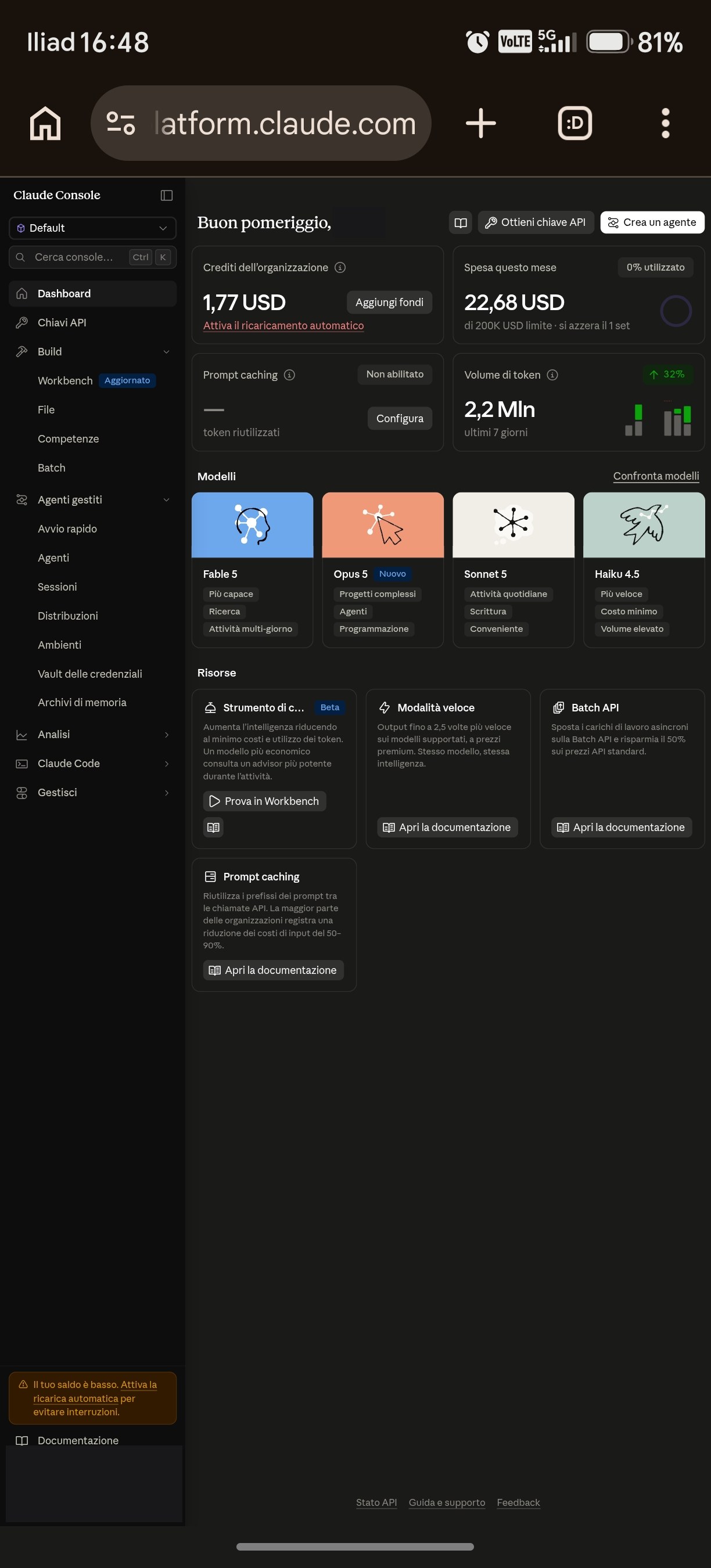 Dashboard della Console con i crediti dell'organizzazione, la spesa del mese e il menu laterale